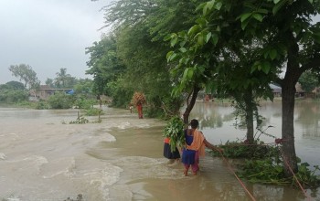 सप्तकोशी नदीमा आएको बाढीले ३५ घर डुबानमा : गोबरगाढा बस्ती जलमग्न